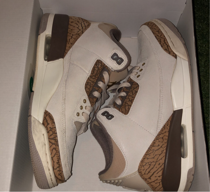 SIZE 9 AIR JORDAN 3 PALOMINO WITH OG BOX